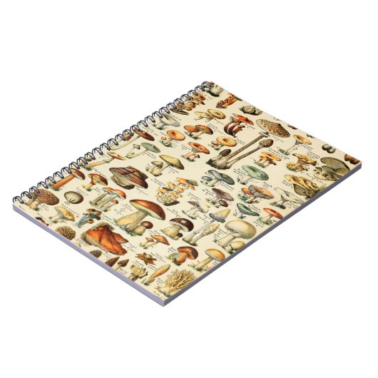 キノコ採集 ノートブック (左側)