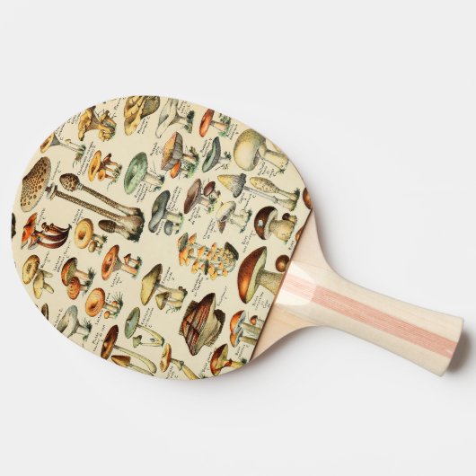キノコ採集  卓球ラケット (横)