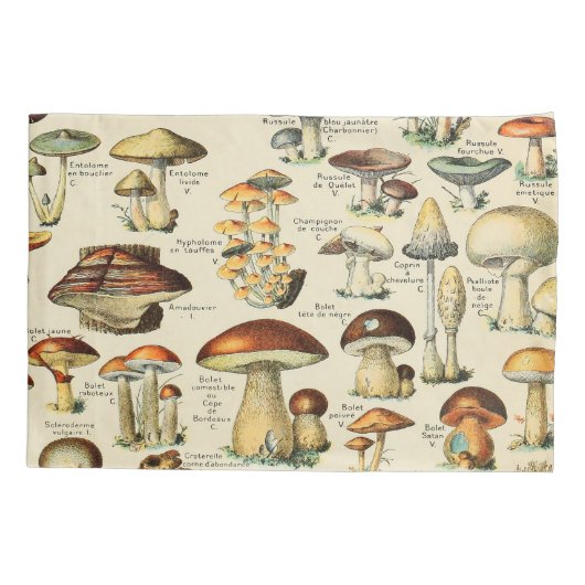 キノコ採集 枕カバー (裏面)