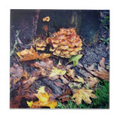 キノコ村 タイル (正面)