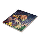 キノコ村 タイル (側面)