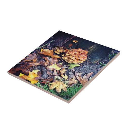 キノコ村 タイル (側面)