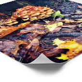 キノコ村 ポスター (角)