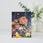 キノコ村 ポストカード (スタンド正面)