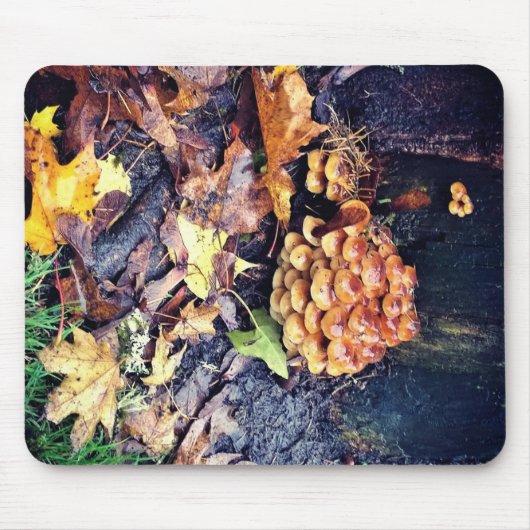 キノコ村 マウスパッド (正面)