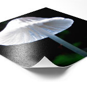 キノコ灰 フォトプリント            (角)