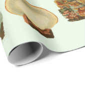 キノコ真菌の植物植物園コラージュ ラッピングペーパー (ロールコーナー)