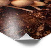 キノコ科 フォトプリント            (角)