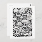 キノコ線スケッチ ポストカード (正面/裏面)