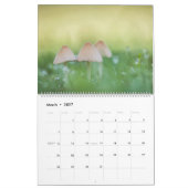 キノコ自然の写真2026 カレンダー (3月 2027)