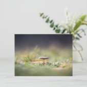 キノコ自然フォトカード (スタンド正面)