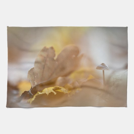 キノコ自然写真 キッチンタオル (横)