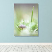 キノコ自然写真 キャンバスプリント (インサイチュ (ウッドフロア))