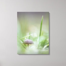 キノコ自然写真 キャンバスプリント