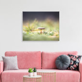 キノコ自然写真 キャンバスプリント (インサイチュ (リビング))