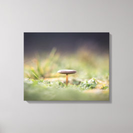 キノコ自然写真 キャンバスプリント