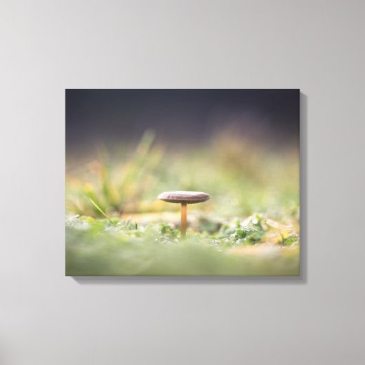 キノコ自然写真 キャンバスプリント (正面)