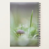 キノコ自然写真 プランナー手帳 (裏面)