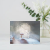 キノコ自然写真 ポストカード (スタンド正面)