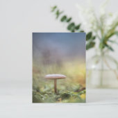 キノコ自然写真 ポストカード (スタンド正面)