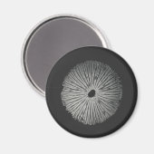 キノコ芽胞磁石 マグネット (正面/裏面)