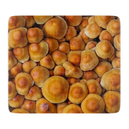 キノコ菌 カッティングボード (正面)