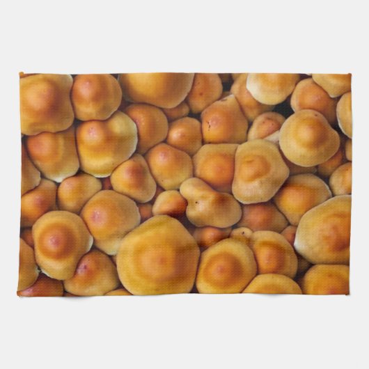 キノコ菌 キッチンタオル (横)