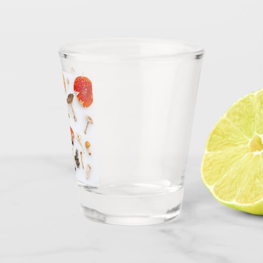 キノコ菌 ショットグラス (右)