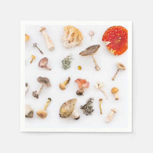 キノコ菌 スタンダードカクテルナプキン (正面)