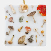 キノコ菌 セラミックオーナメント (正面)