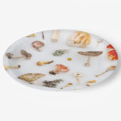 キノコ菌 ペーパープレート (アングル)