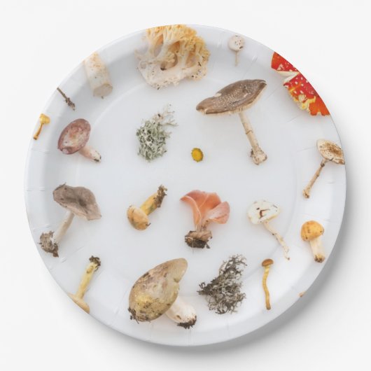 キノコ菌 ペーパープレート (正面)