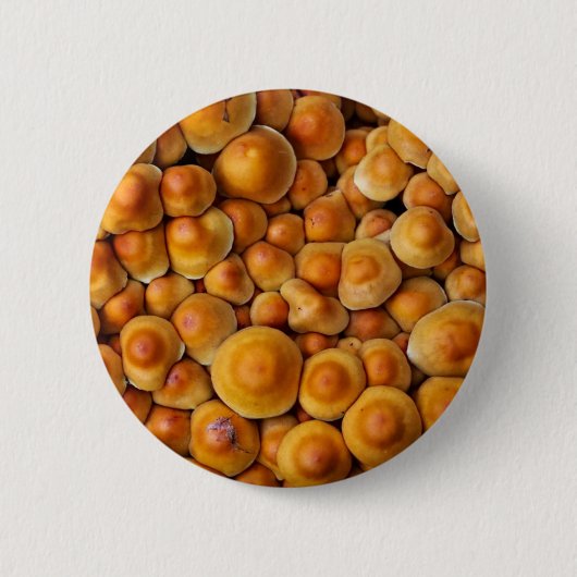 キノコ菌 缶バッジ (正面)