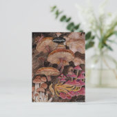 キノコ類の不気味さ シーズンポストカード (スタンド正面)