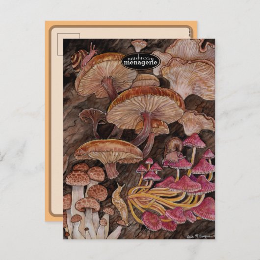 キノコ類の不気味さ シーズンポストカード (正面/裏面)