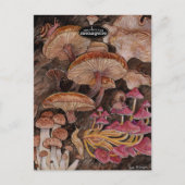 キノコ類の不気味さ シーズンポストカード (正面)
