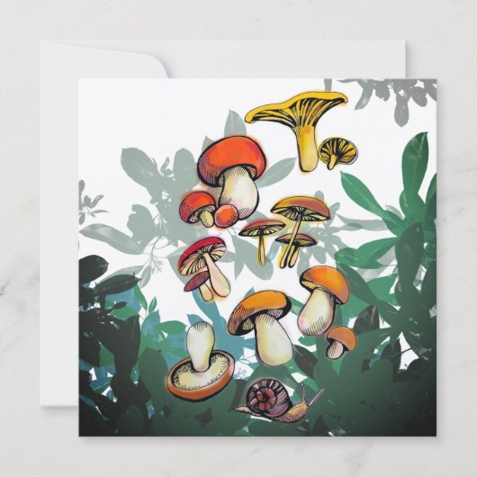 キノコ類の温和 (正面)