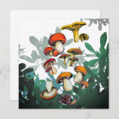 キノコ類の温和 (正面/裏面)