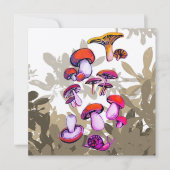 キノコ類の温和 (正面)