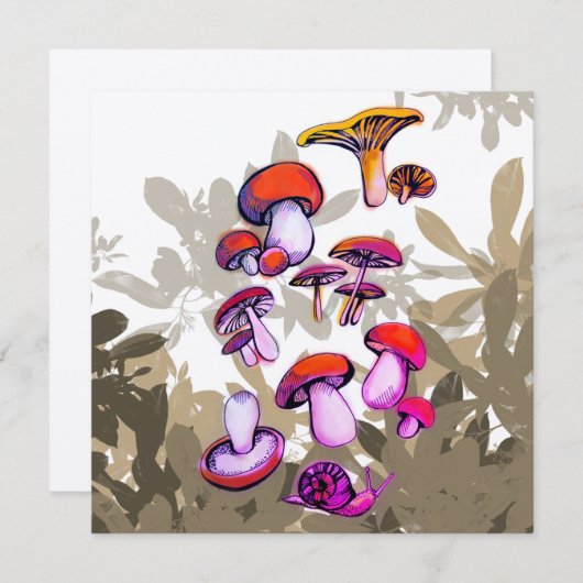 キノコ類の温和 (正面/裏面)