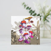 キノコ類の温和 (スタンド正面)