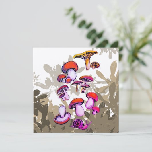 キノコ類の温和 (スタンド正面)