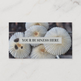 キノコ類屋外菌発芽キノコ 名刺