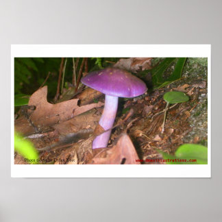 キノコ食べを使わない ポスター