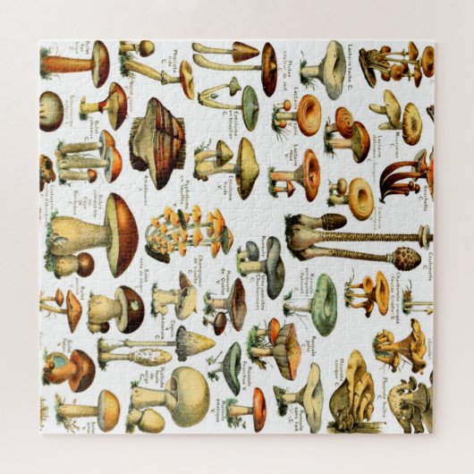 キノコ4 ジグソーパズル (横)