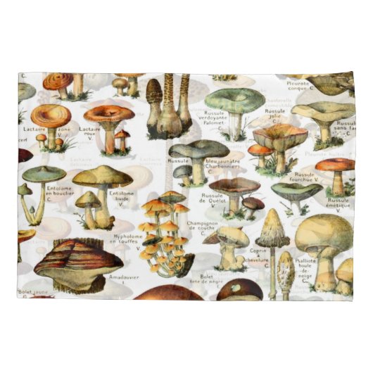 キノコ4 枕カバー (裏面)