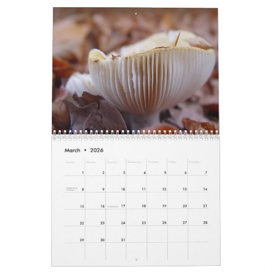 キノコ カレンダー (3月 2026)