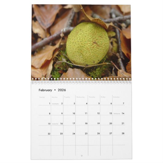 キノコ カレンダー (2月 2026)