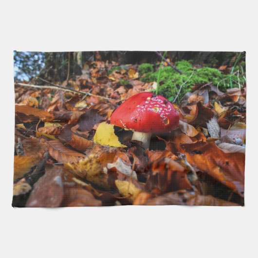 キノコ キッチンタオル (横)