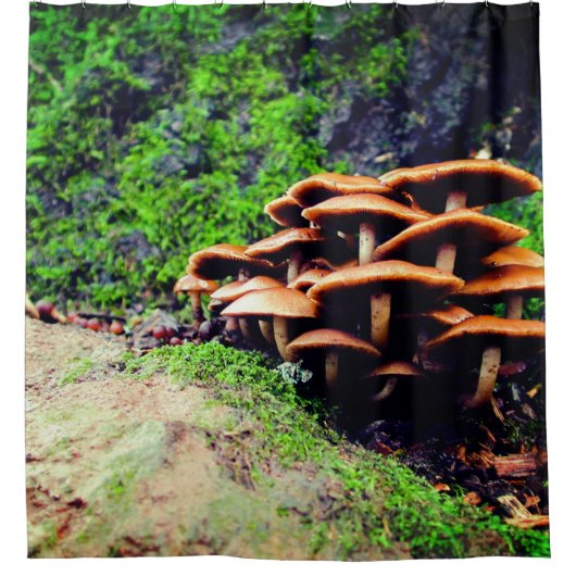 キノコ シャワーカーテン (正面)